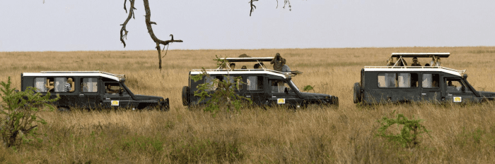 uganda safari companies