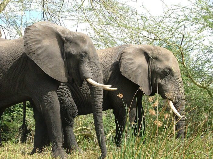 Lake Malawi safari tours
