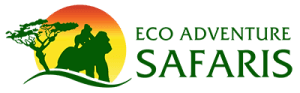 Eco Adventure Safaris