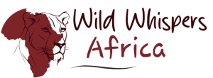 Wild Whispers Africa Safaris