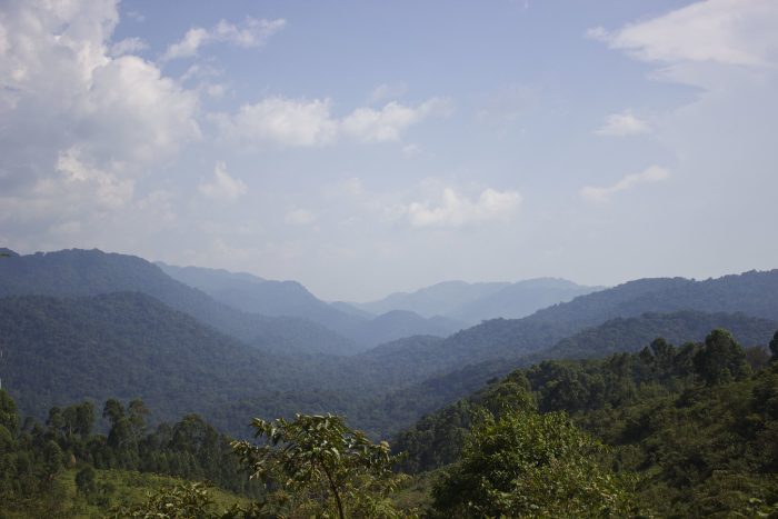 gorilla tours uganda