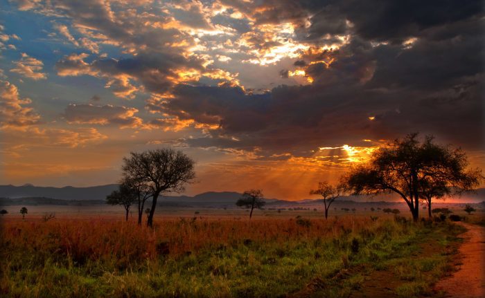 safaris in uganda