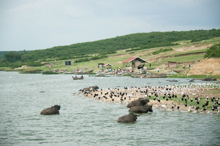 10 Day Uganda Safari, Wildlife and Nature