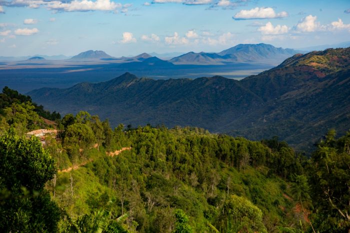 hiking safaris