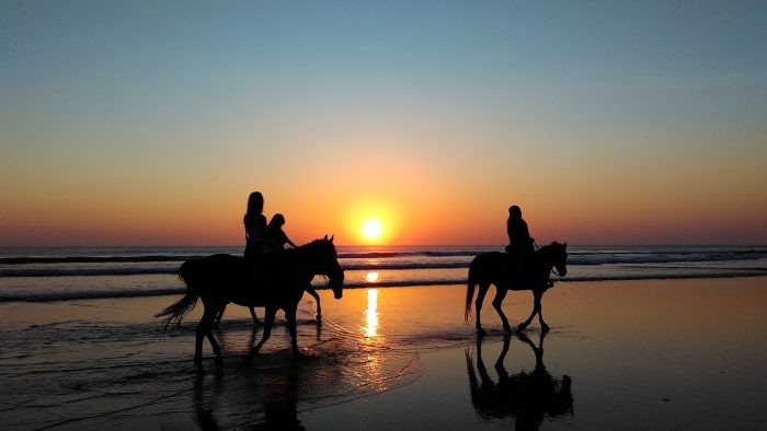 horse riding safaris