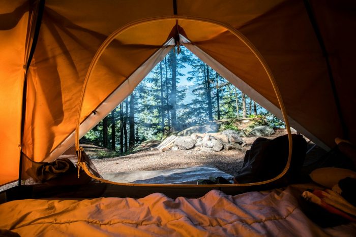 camping safaris