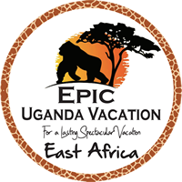 Epic Uganda Vacation