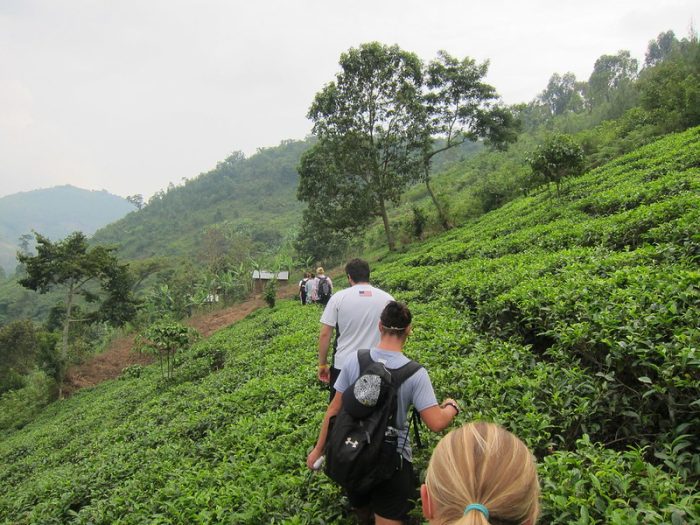 Bwindi village walk