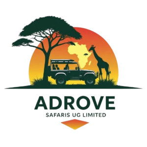 Adrove Safaris logo