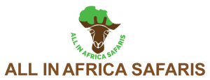 All In Africa Safaris logo