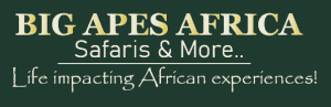 Big Apes Africa Safaris logo