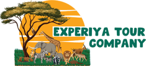 Experiya Tour Company logo