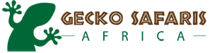 Gecko Safaris Africa logo