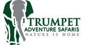 Trumpet Adventures logo