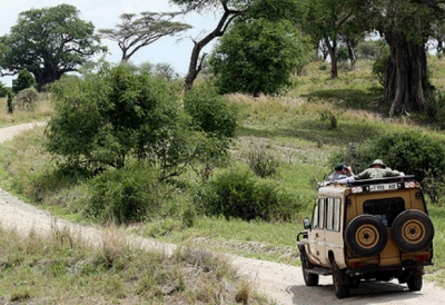 tanzania safari companies